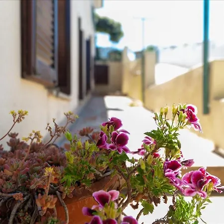 Apartment Italianway - Segni 36 *